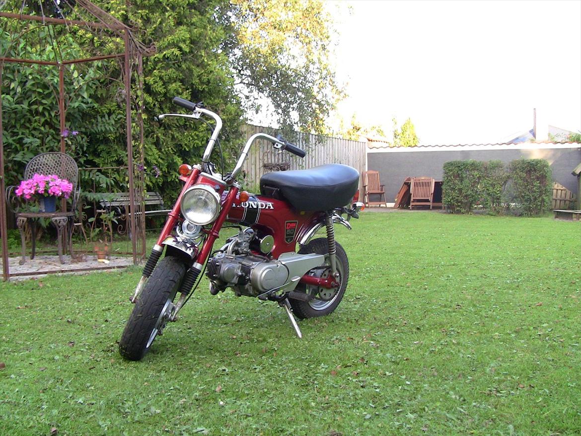 Honda Dax billede 1