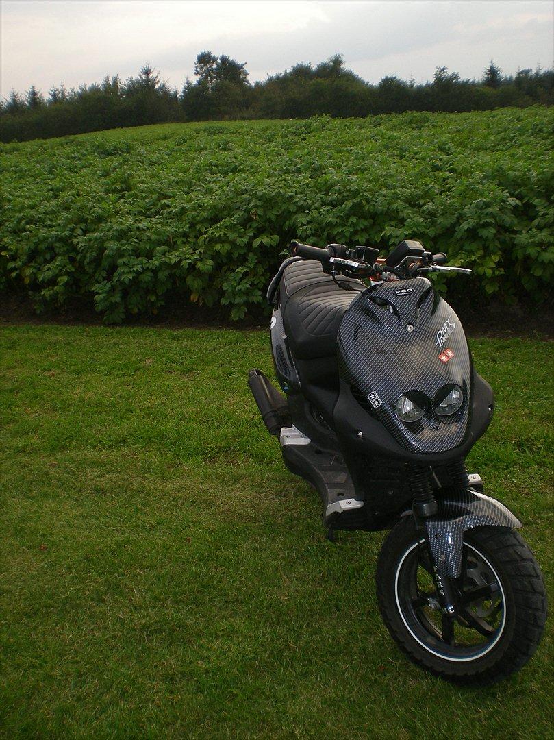 PGO PMX Naked billede 9