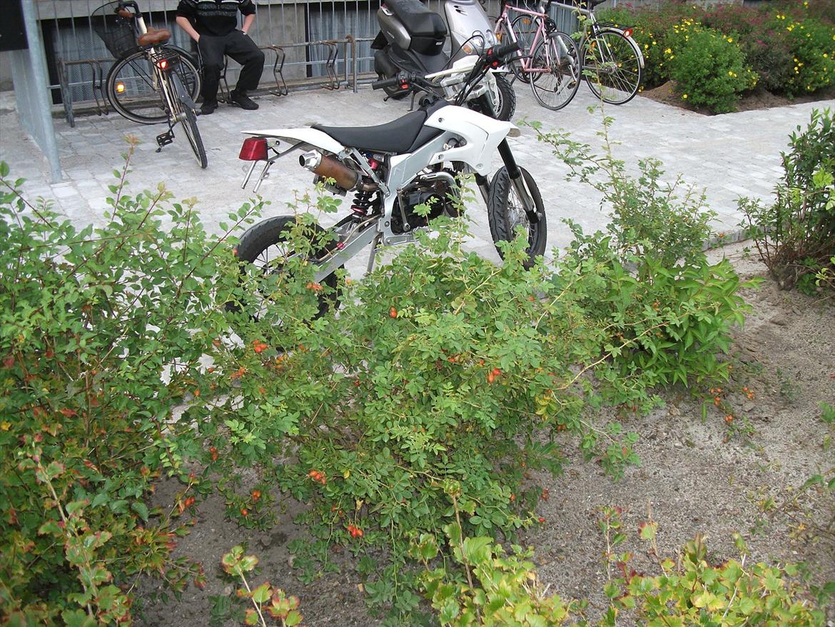 Apollo Orion   29 Solgt  billede 19