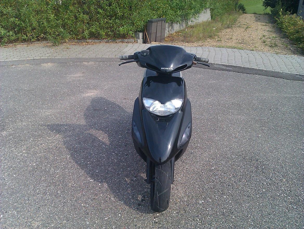 Honda SFX [Tidl scooter] billede 2