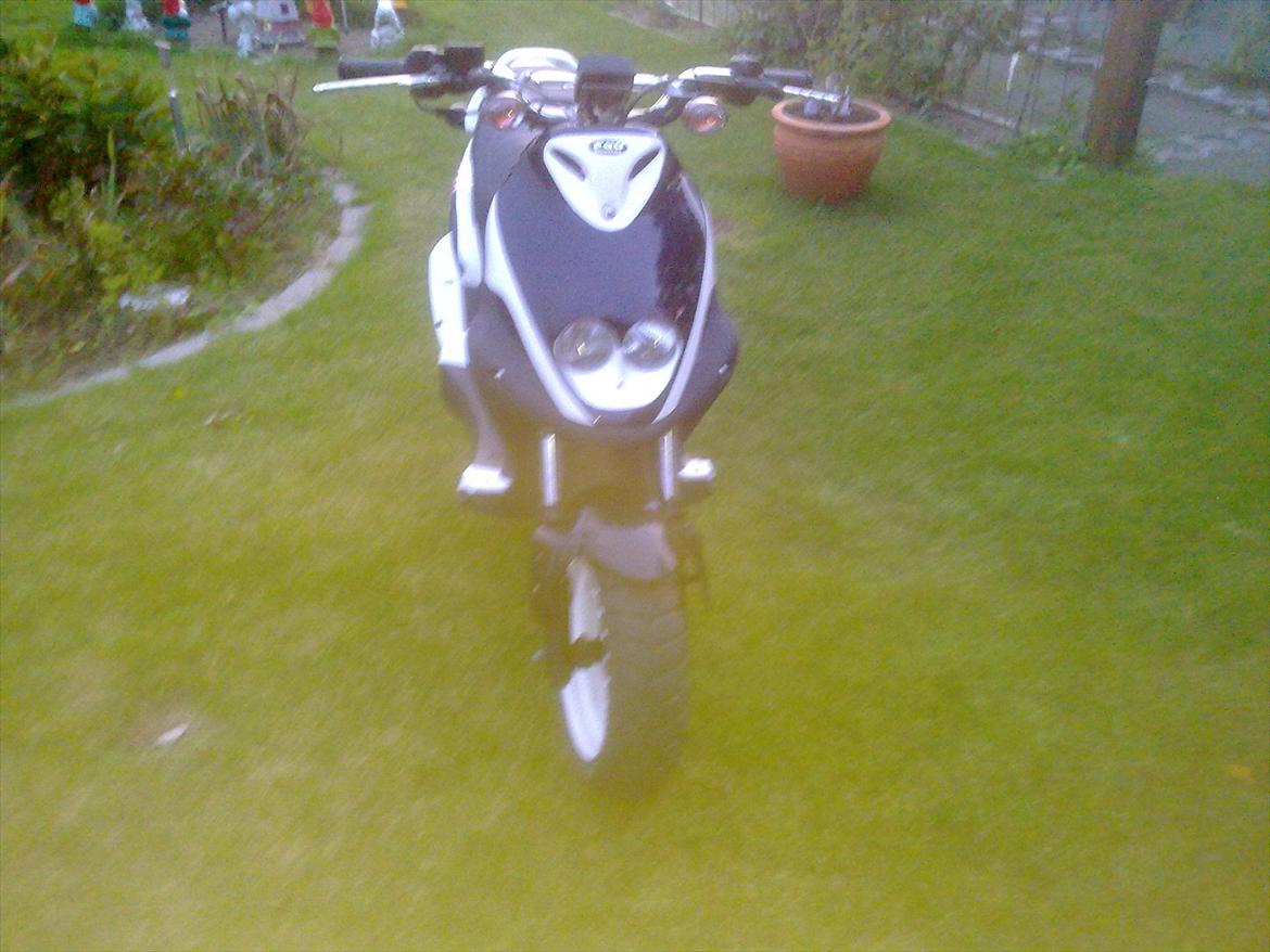 PGO Pmx Naked (R-Setup) STJÅLET billede 1