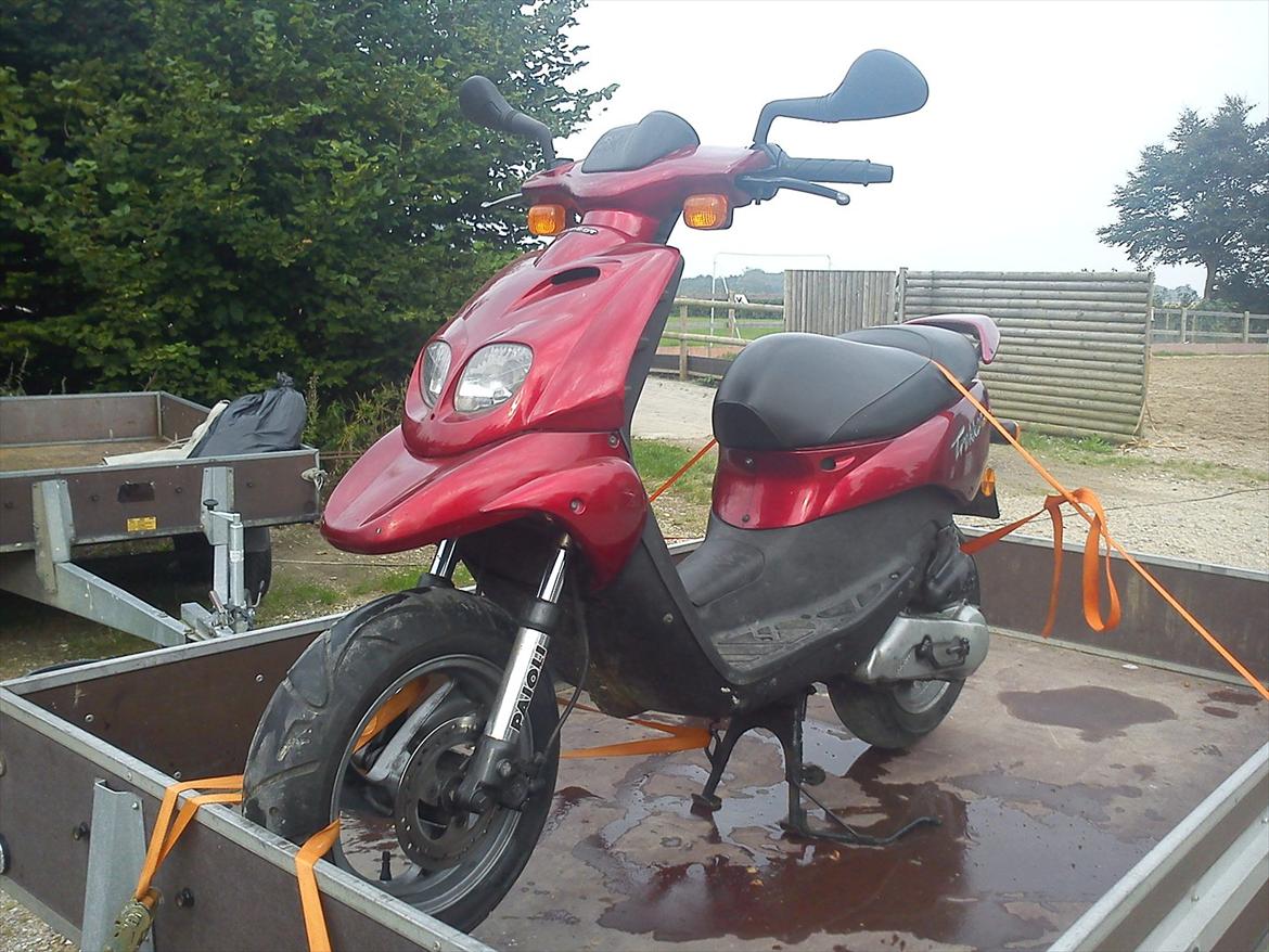 Peugeot Trekker Road billede 10