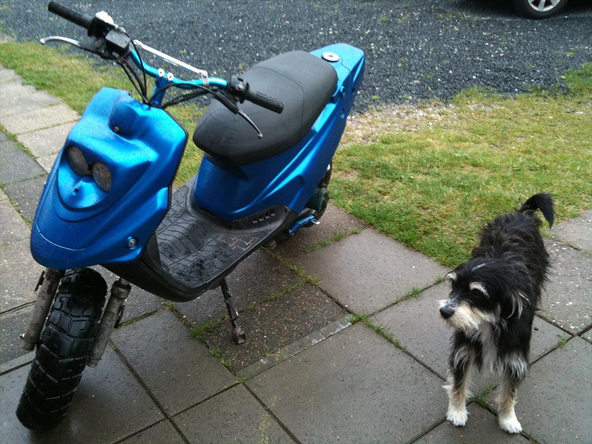 PGO hot 50 billede 6