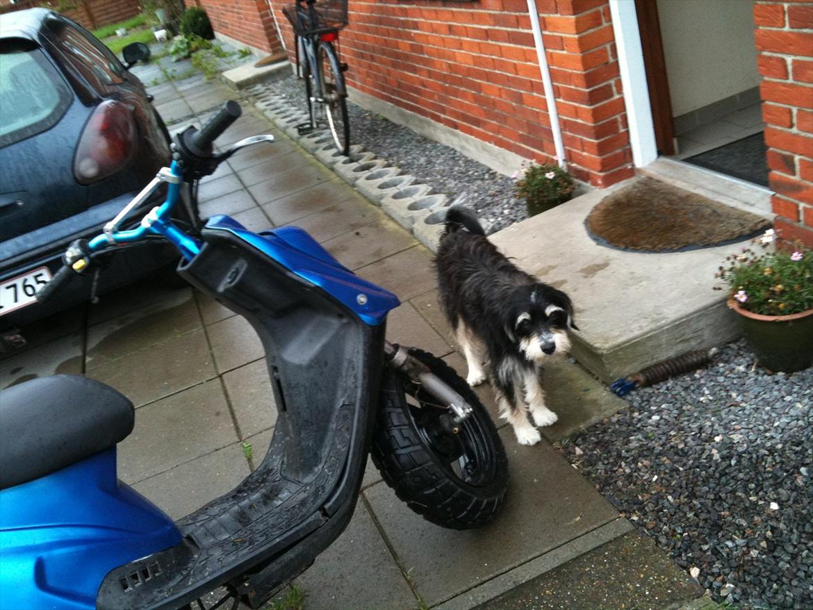 PGO hot 50 billede 8