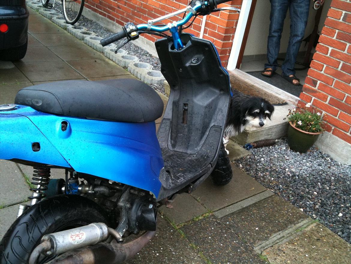 PGO hot 50 billede 9