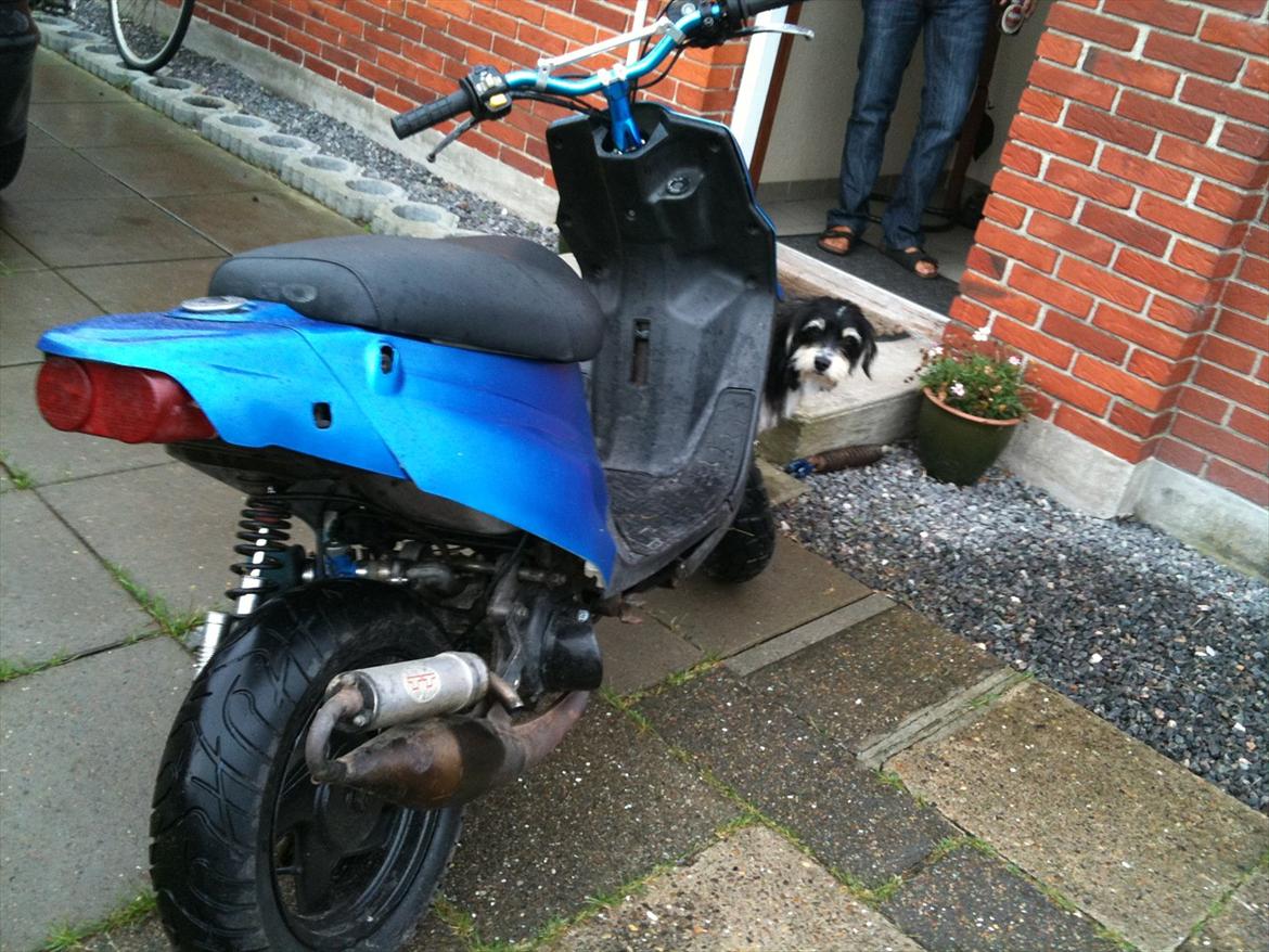 PGO hot 50 billede 10