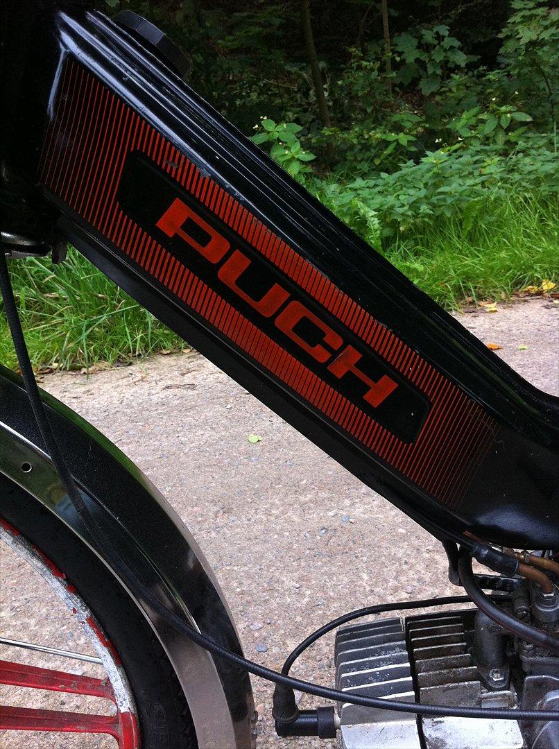 Puch Maxi K Nigth Rider billede 10