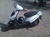 PGO Hot 50