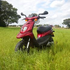 Peugeot Trekker Road