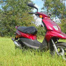 Peugeot Trekker Road