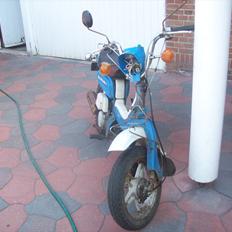 Suzuki fz 50