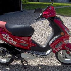 Peugeot Speedfight 2 LC WRC 206 - 45 model