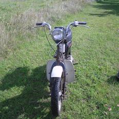 Suzuki fz50 