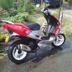 Peugeot Speedfight 2 Rally Victories