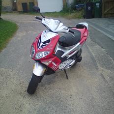 Peugeot Speedfight 2 Rally Victories