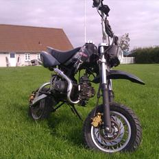 Shineray road ripper