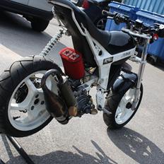 Suzuki StreetRox TeamSpeed II 