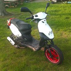 PGO PMX no fear SOLGT ! 