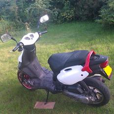 PGO PMX no fear SOLGT ! 