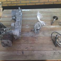 PGO PMX no fear SOLGT ! 