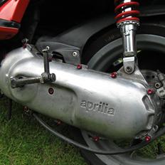 Aprilia Rally AC - DD 30'er Til Salg