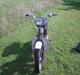 Suzuki fz50 