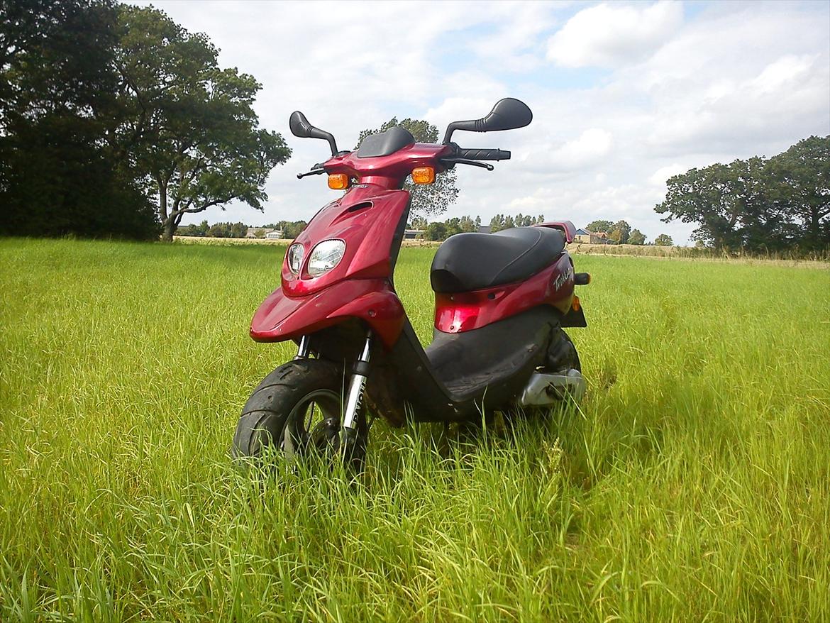 Peugeot Trekker Road billede 1