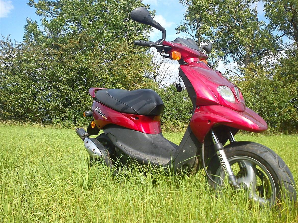 Peugeot Trekker Road billede 2