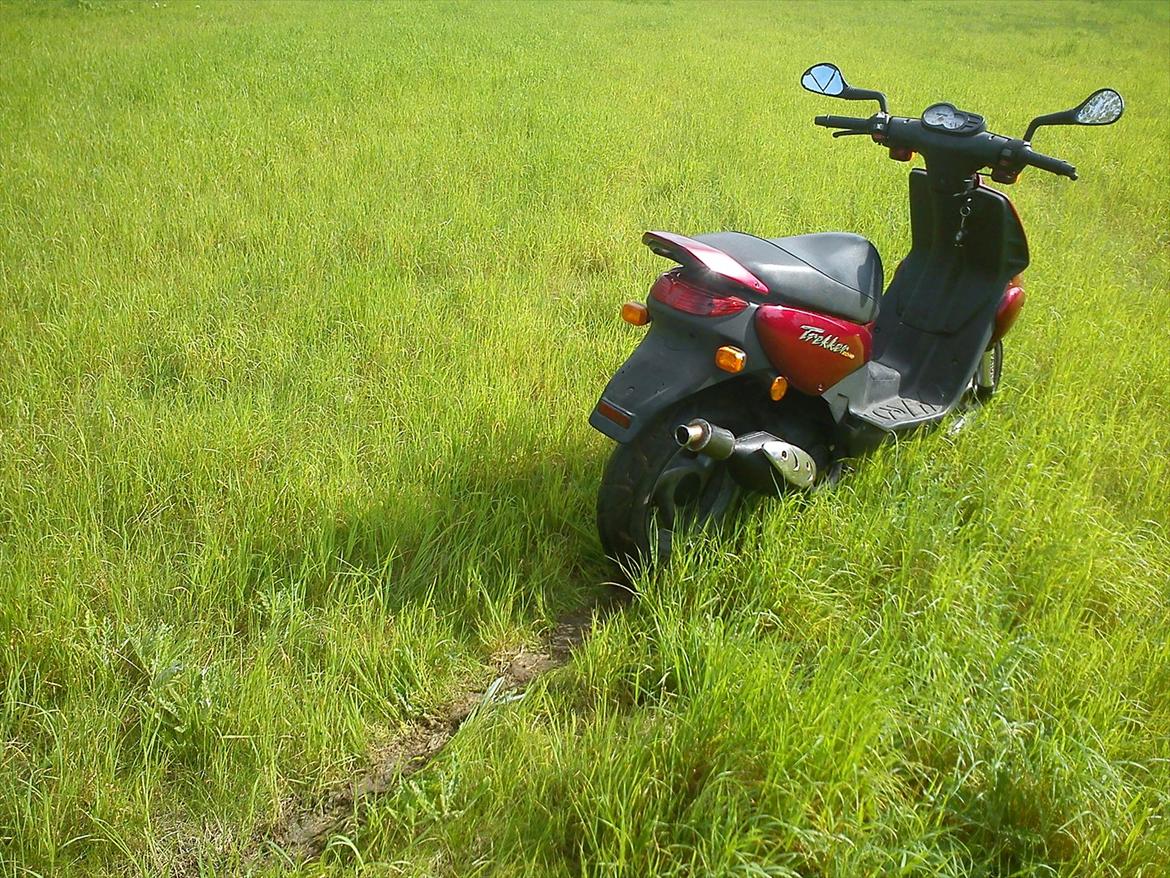 Peugeot Trekker Road billede 3