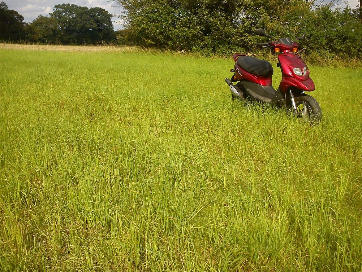 Peugeot Trekker Road billede 4