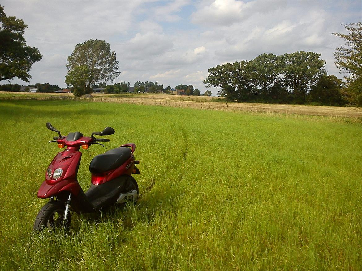 Peugeot Trekker Road billede 5