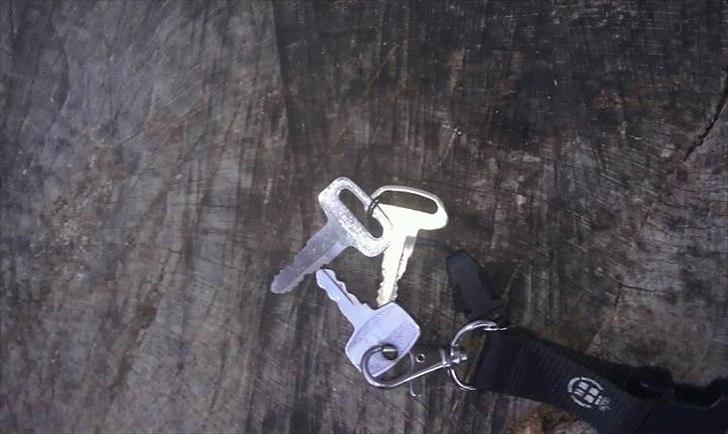 Suzuki fz 50 billede 7