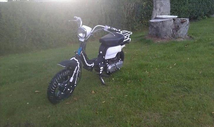 Suzuki fz 50 billede 8