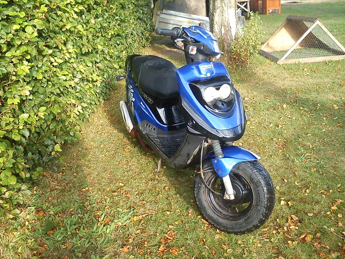 PGO Hot 50  billede 4