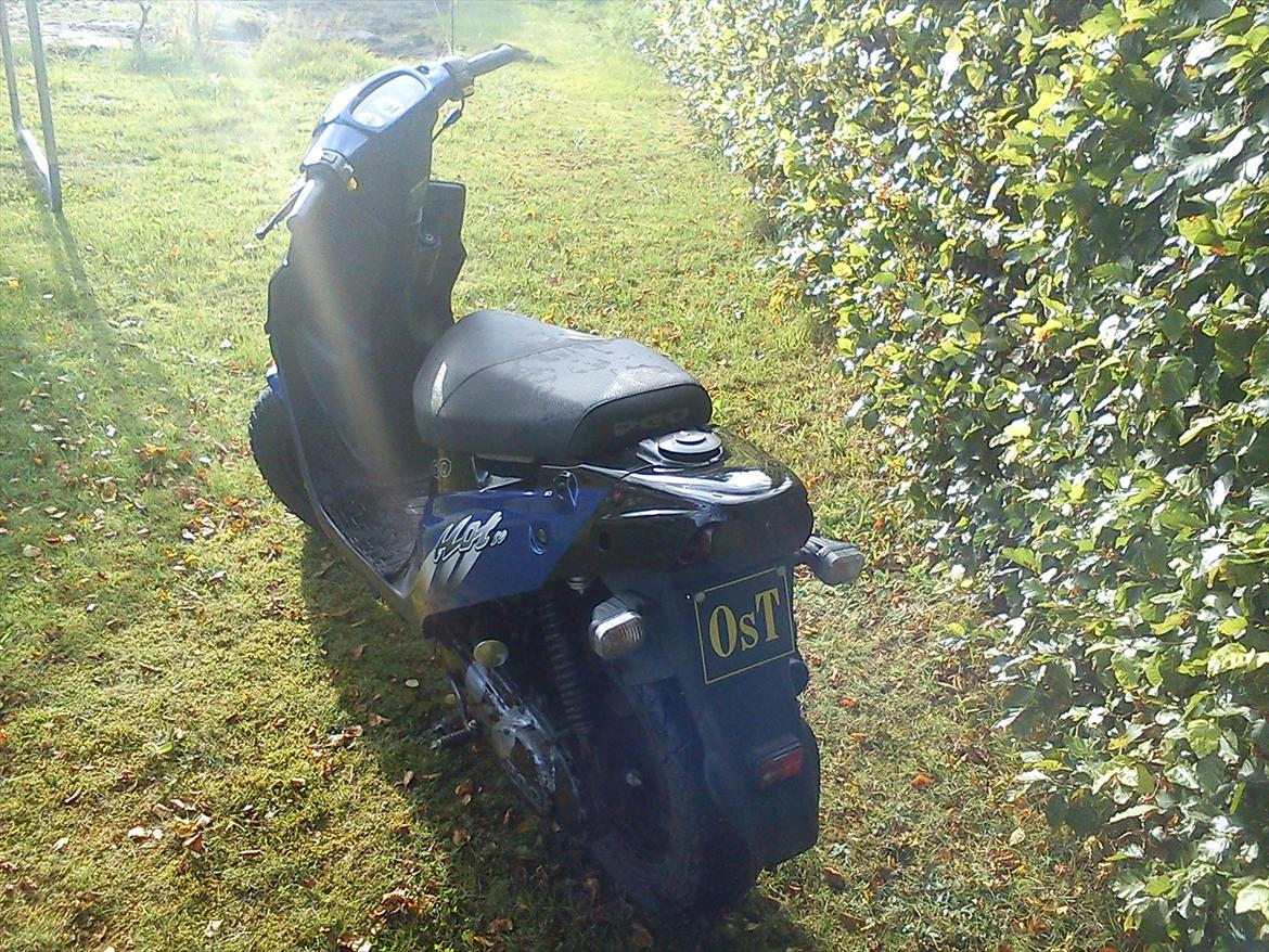 PGO Hot 50  billede 5