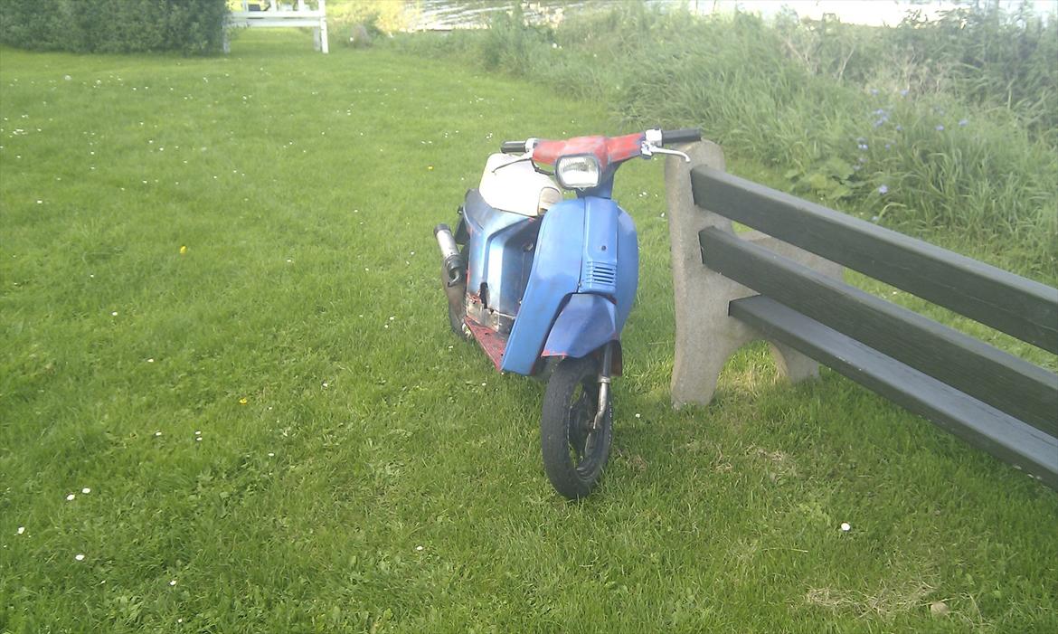 Honda melody billede 2