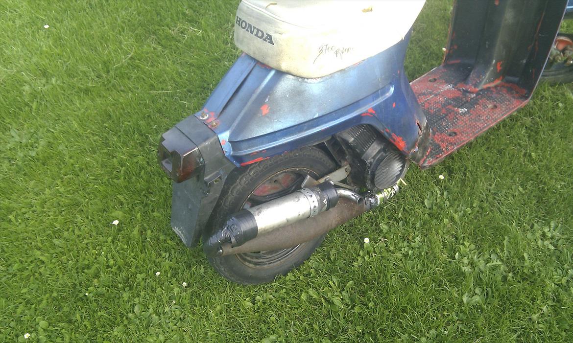 Honda melody billede 3