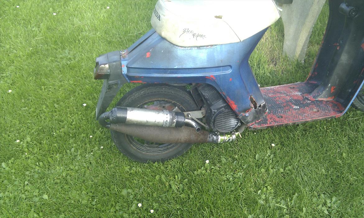 Honda melody billede 4