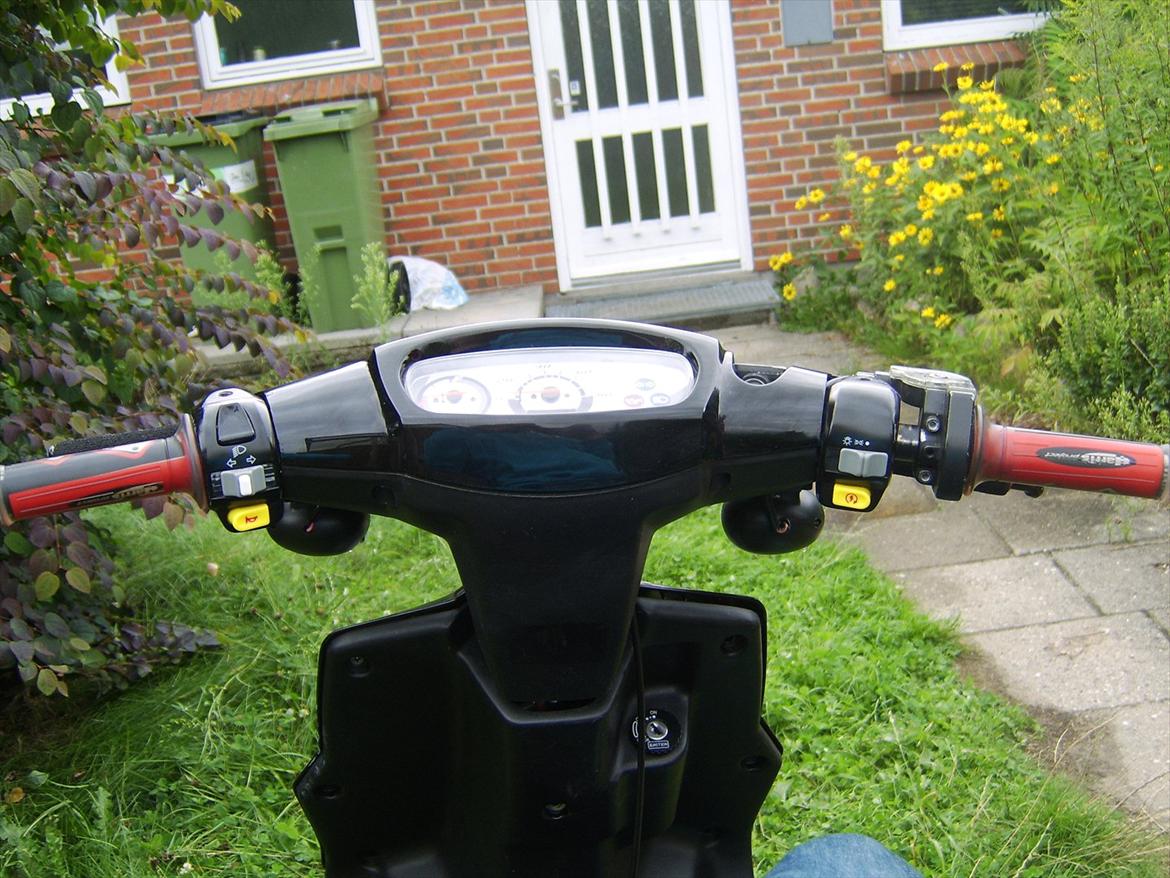 PGO Hot 50 billede 4