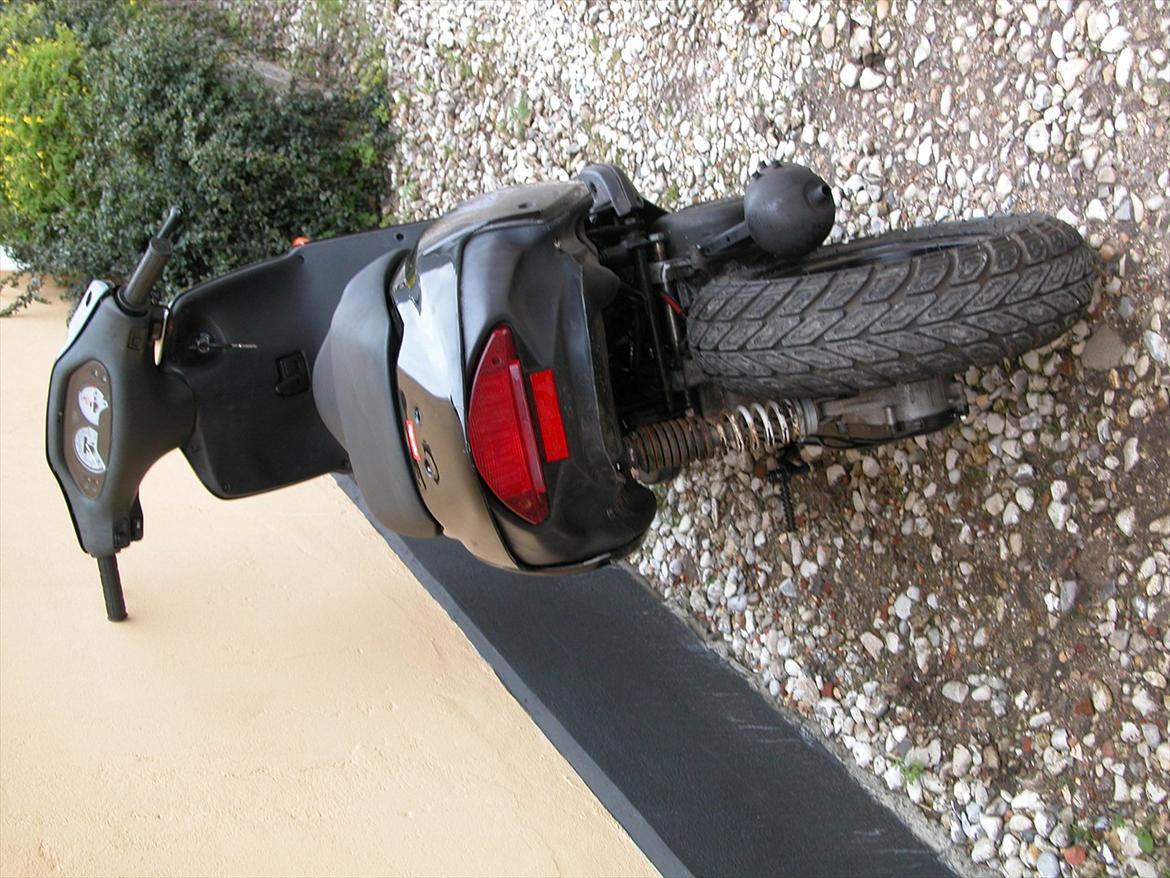 Aprilia rally billede 11