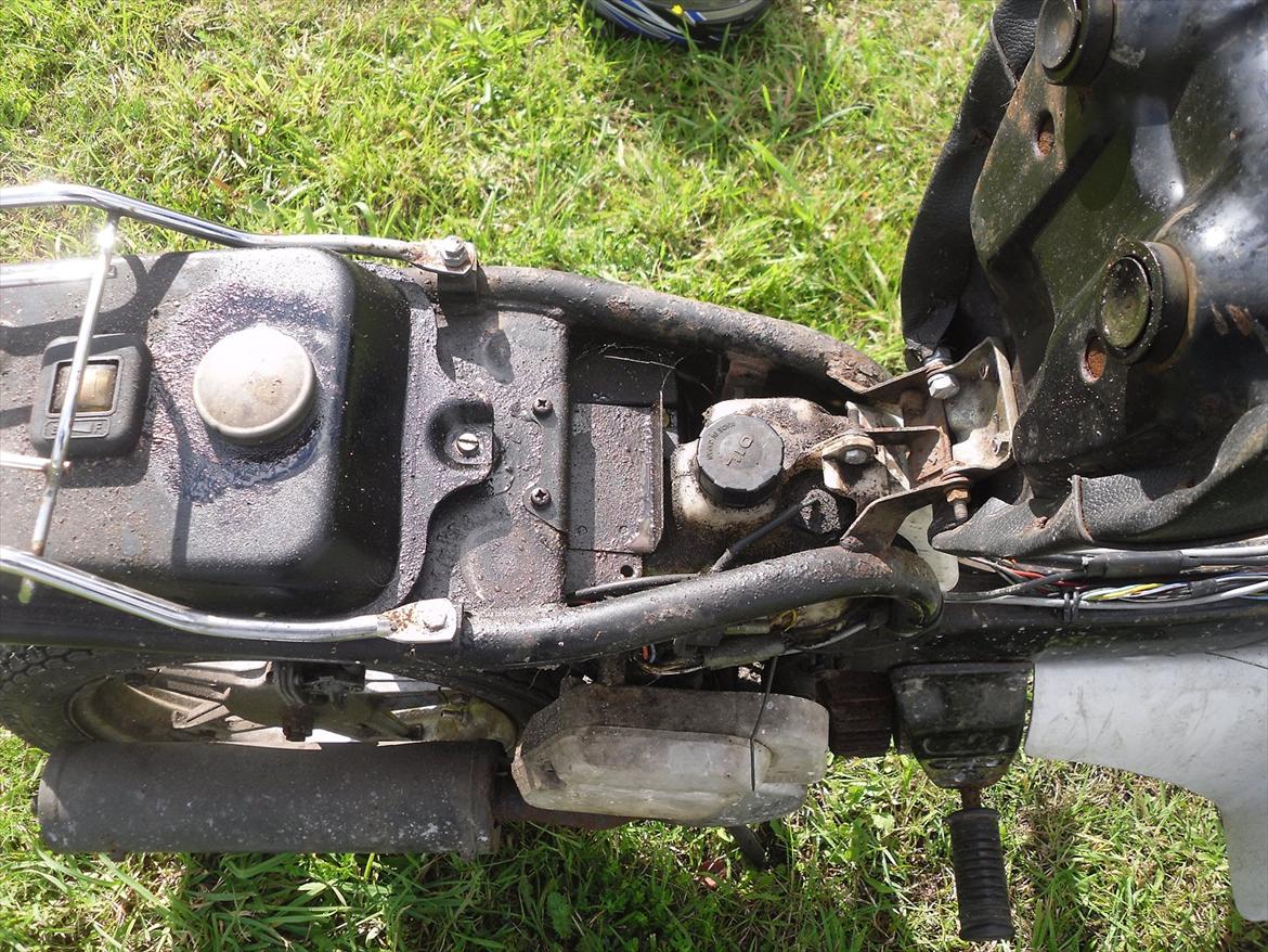 Suzuki fz50  billede 6