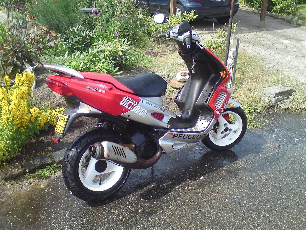 Peugeot Speedfight 2 Rally Victories - Nyvasket billede 1