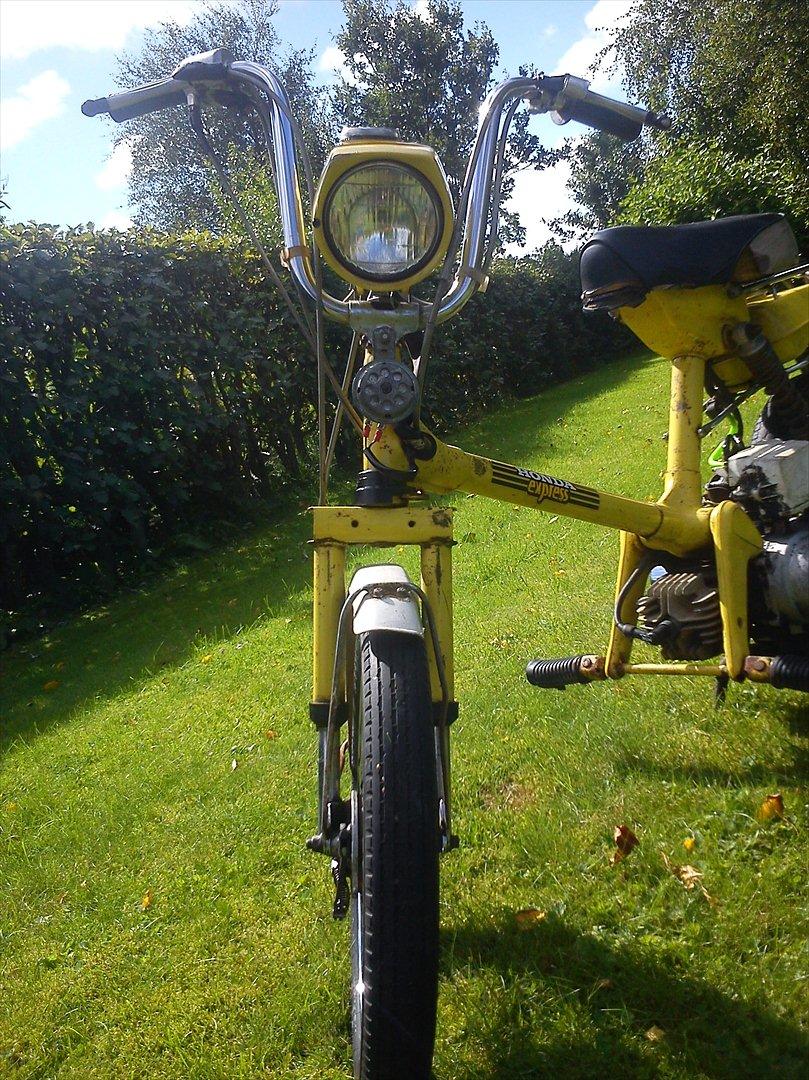 Honda Express SOLGT billede 3