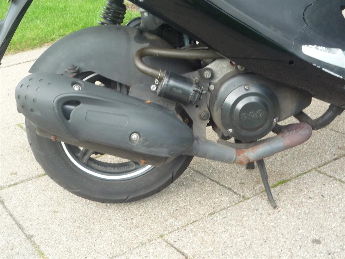 PGO Black Magic billede 4