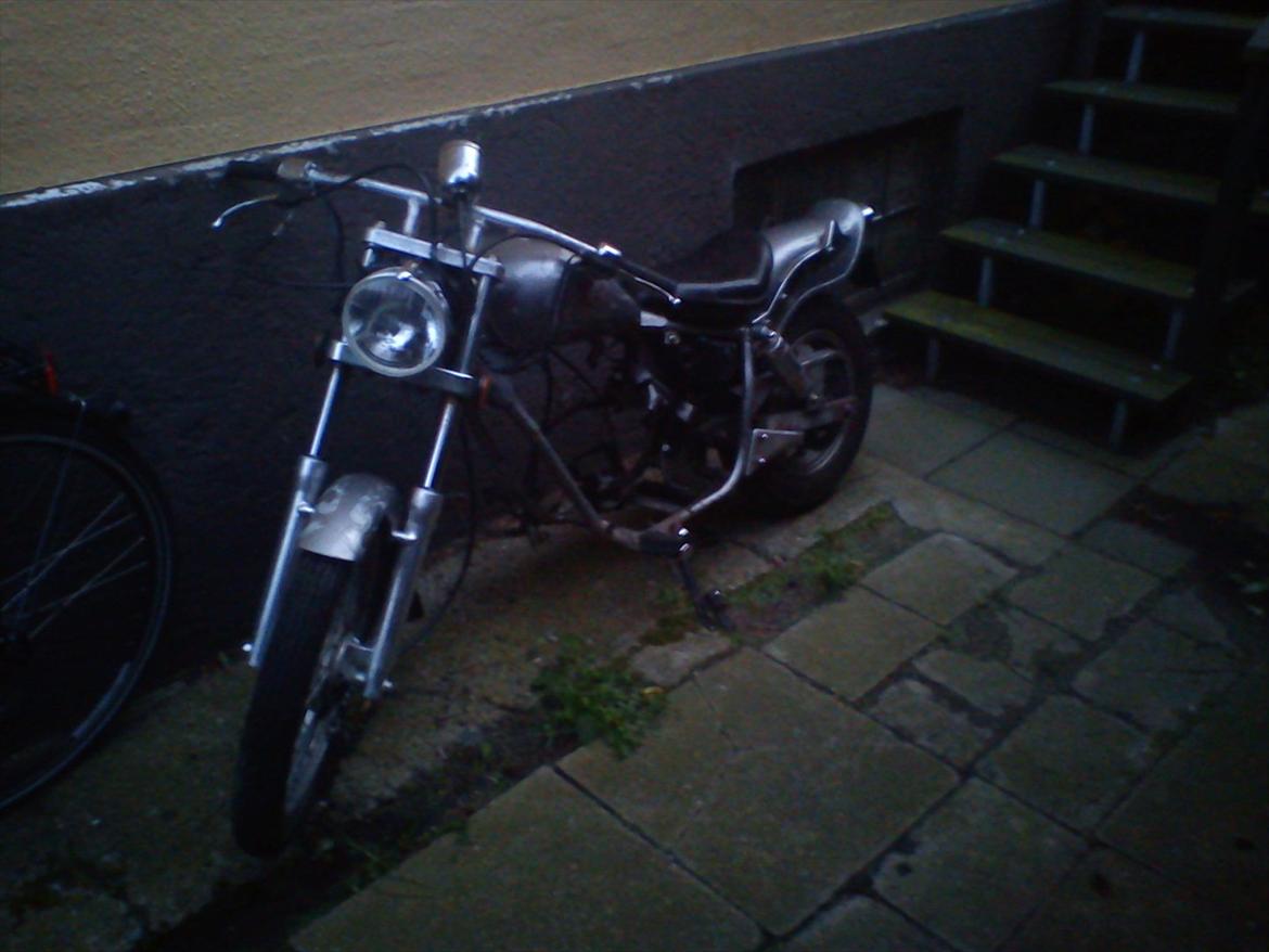 Regal raptor  [kommet tilbage) billede 9