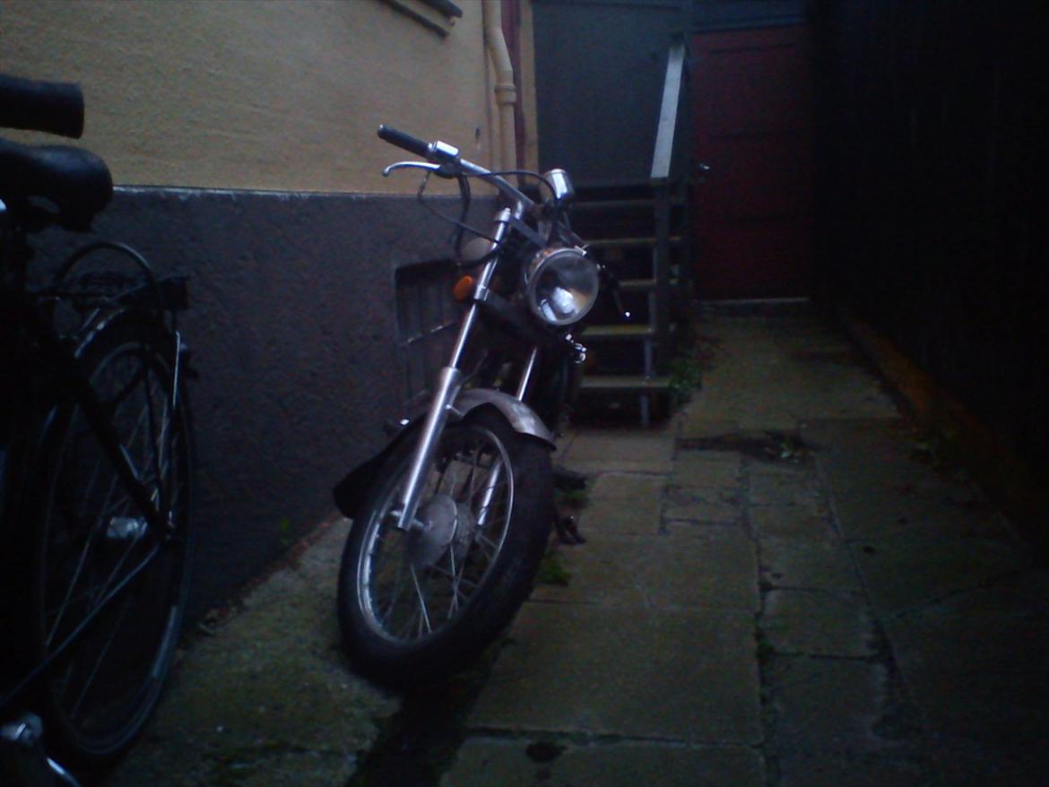 Regal raptor  [kommet tilbage) billede 11