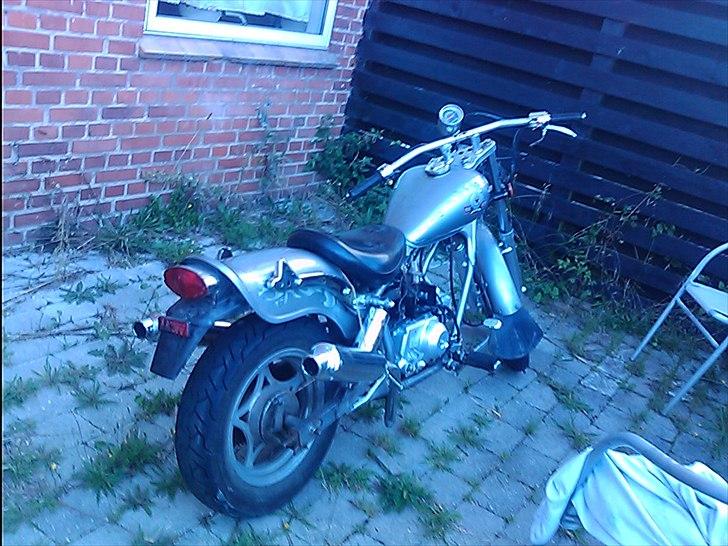 Regal raptor  [kommet tilbage) billede 12