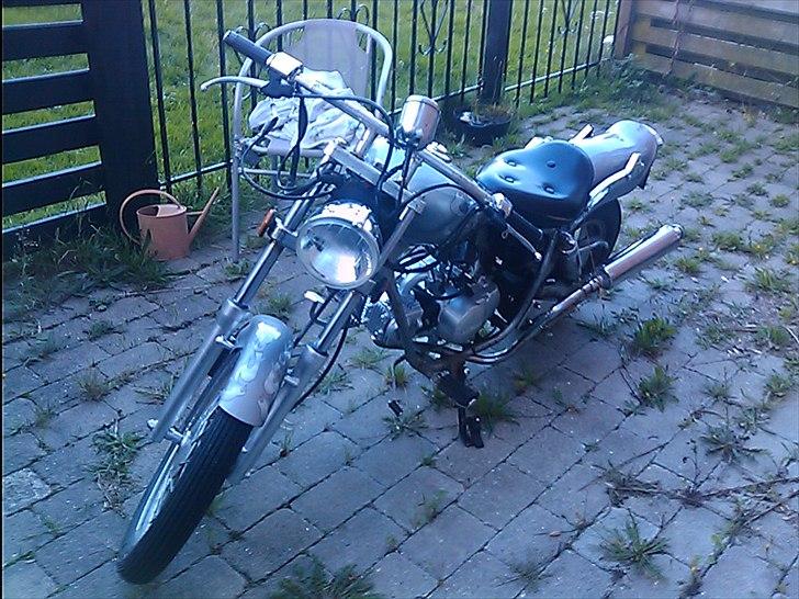 Regal raptor  [kommet tilbage) billede 14