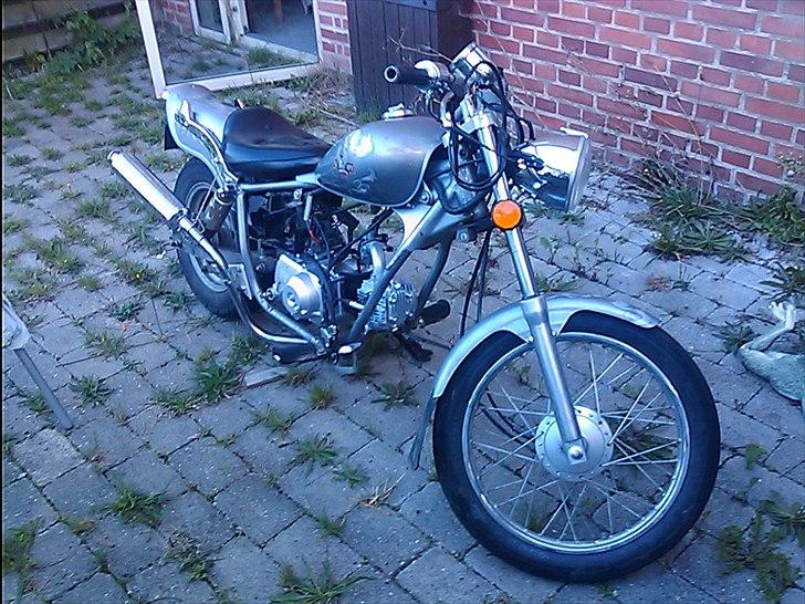 Regal raptor  [kommet tilbage) billede 8