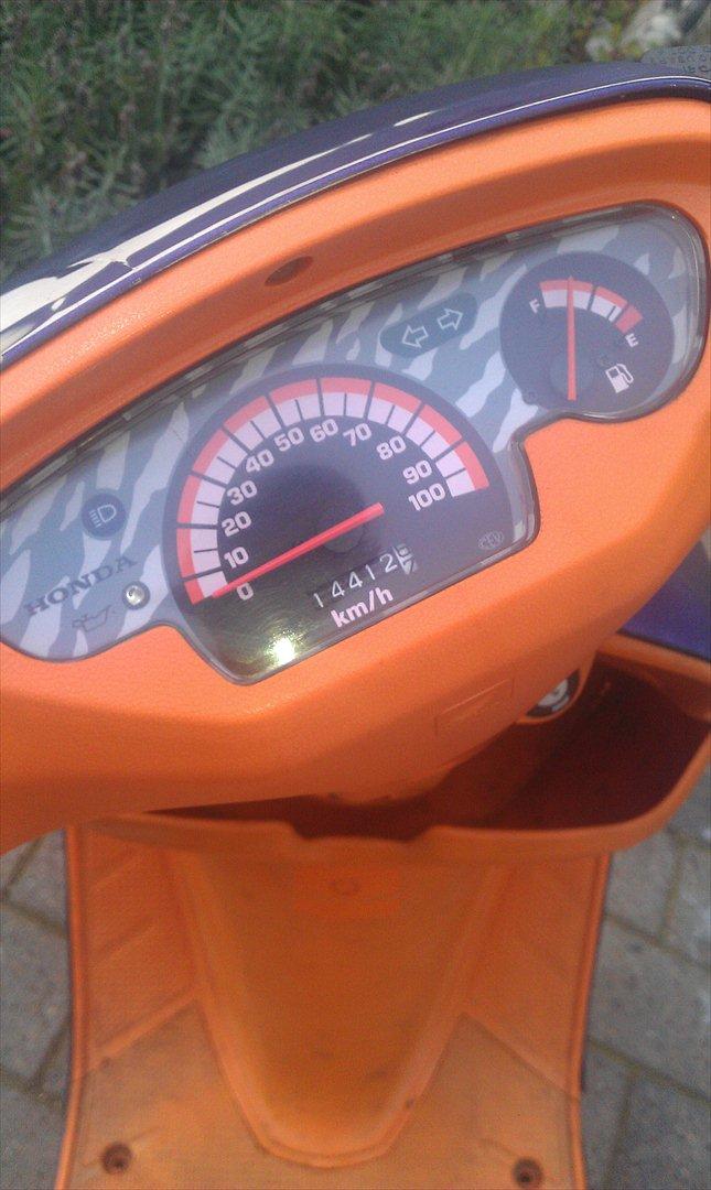 Honda Sfx - Byttet billede 5